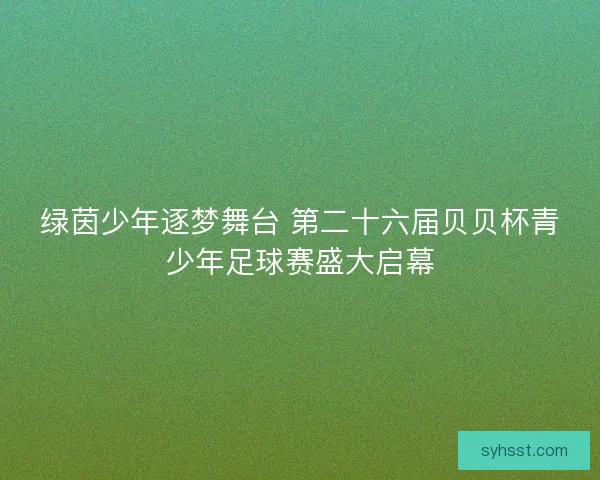 绿茵少年逐梦舞台 第二十六届贝贝杯青少年足球赛盛大启幕