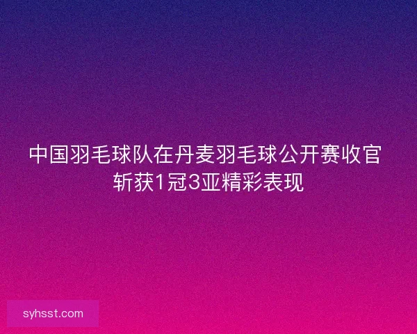 中国羽毛球队在丹麦羽毛球公开赛收官 斩获1冠3亚精彩表现